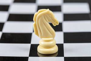 White chess horse piece on the board background (Flip 2019)
