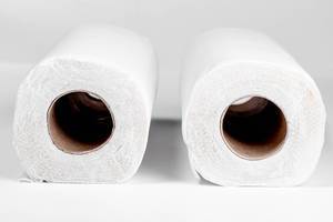 White paper towels (Flip 2019)