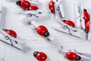 White small clothespins decorated with ladybugs