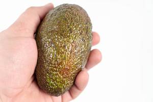 Whole Avocado in the hand above white background with copy space