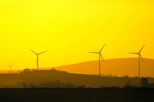 Wind farm at sunset, yellow sky