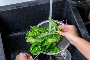 Woman washes fresh spinach leaves under running water (Flip 2019)