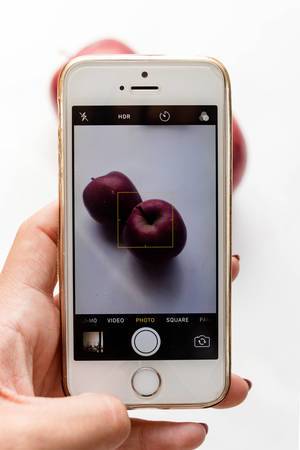 Women takes photo of apples with smart phone
