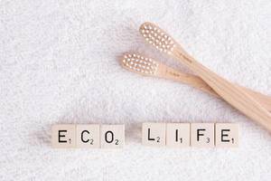 Wooden toothbrushes with eco life text
