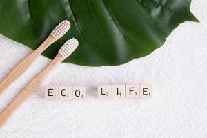 Wooden toothbrushes with tropical leaf and eco life text
