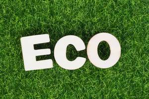Word ECO on green grass background