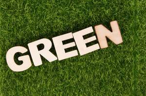 Wort GREEN (grün) aus Holzbuchstaben liegt auf Wiese
