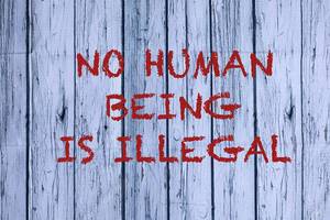 Writing on a Wooden Background saying No Human Being Is Illegal