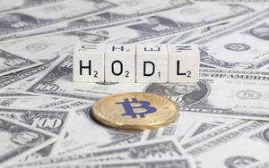 Würfel bilden das Wort HODL hinter Bitcoin auf Dollarnoten