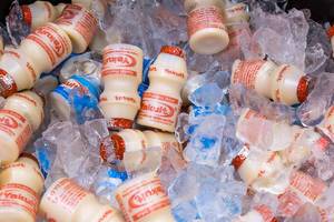 Yakult Probiotic Drinks in the normal and light versions in small plastic bottles on ice