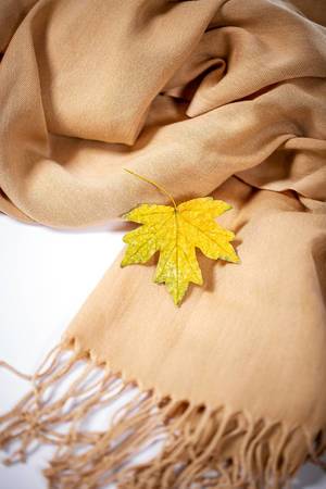 Yellow leaf with scarf on white background
