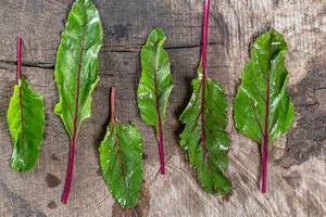 Young fresh beet leaves on wooden background. Top view