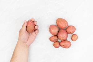 Young Red Potatoes on the table and in the hand