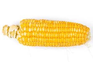 Young sweetcorn on a white background, top view (Flip 2020)