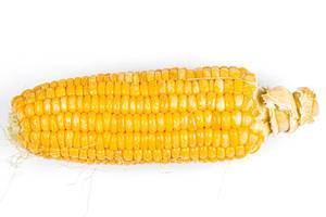Young sweetcorn on a white background, top view