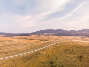 Zlatibor mountain in Serbia on a sunny day