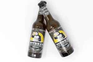 Zwei Flaschen - Joy Bräu Alkoholfreies Proteinbier mit hohem Eiweißanteil, BCAA und Carnitin auf weißem Hintergrund
