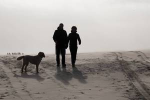 Zwei Menschen beim Spaziergang mit ihrem Hund