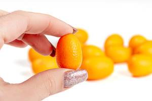 Zwergorange ind der Nahaufnahme: Kumquat in einer Frauenhand
